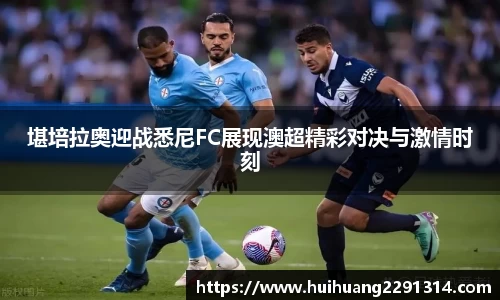 jn江南·体育登录入口